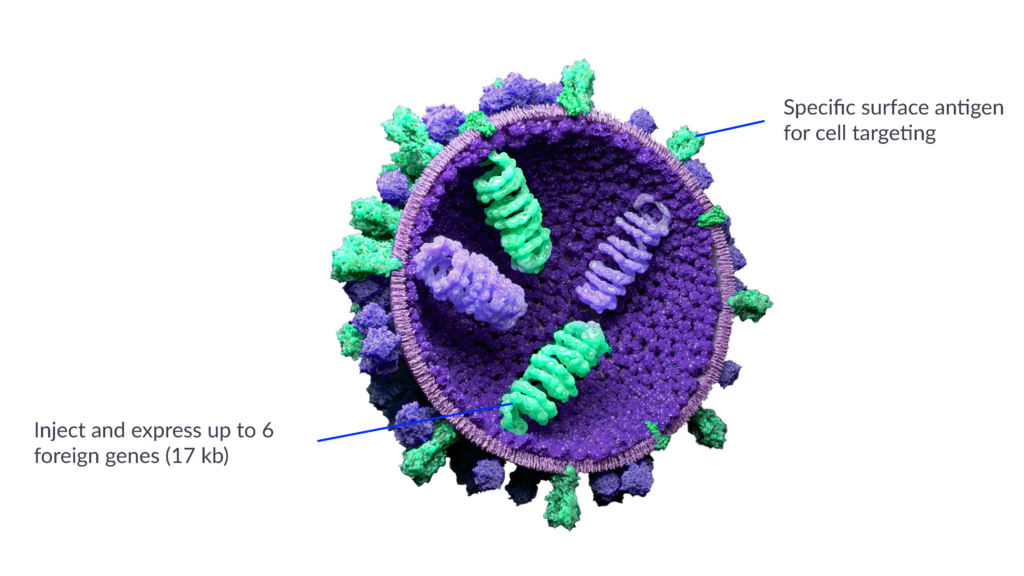 Innovative viral vectors for vaccines, oncology and gene therapy - Sagitta